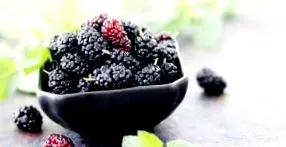 mulberry