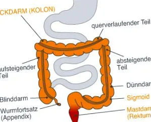 centrul