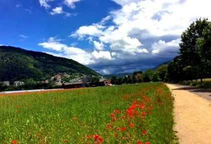 bleiche