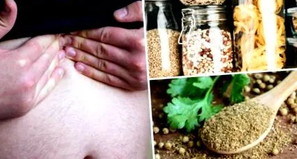evitat alimente