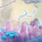 metabolice kybermetabolic