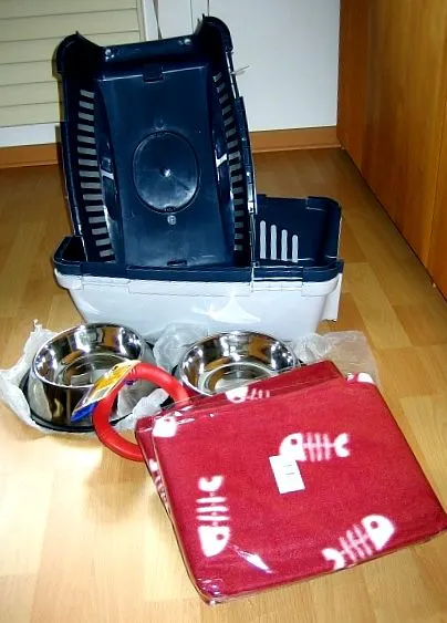 јули 2008