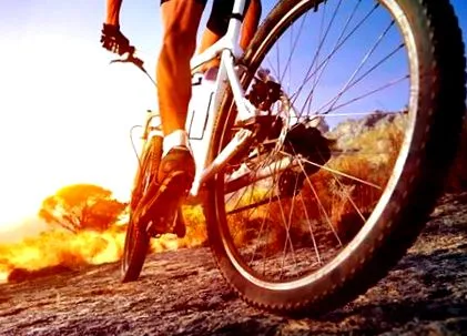 sport