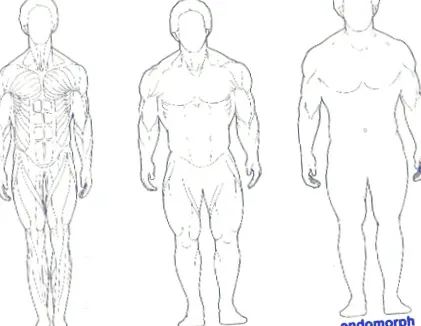 mesomorph
