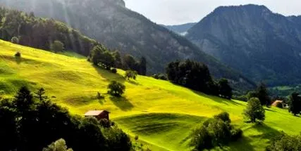 nature