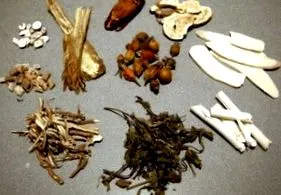 medicină