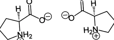 prolin