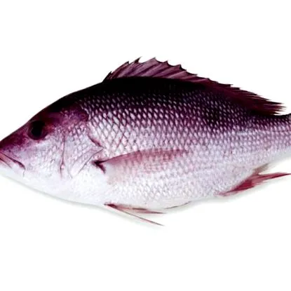 bucătăriei