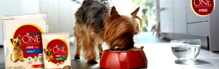 purina