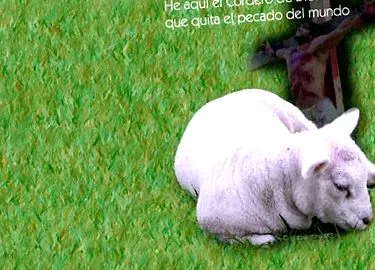 калориите които