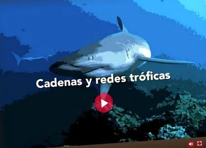 galapagos