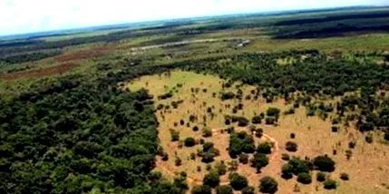 tudomány