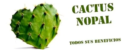nopal