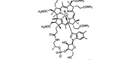 b12-vitamin