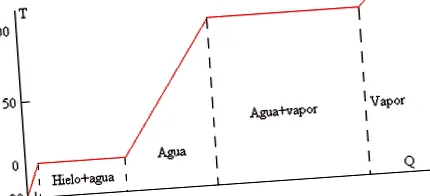 fusi