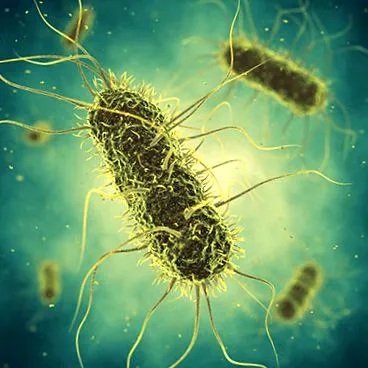 infecție