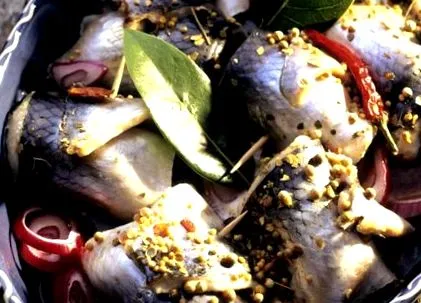 rollmops