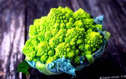 romanesco-t