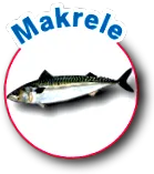 vereinigung