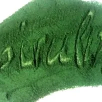 efectul