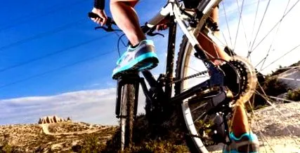 sport