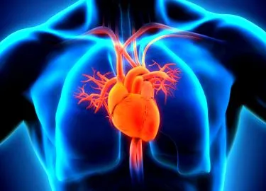 ecocardiografia