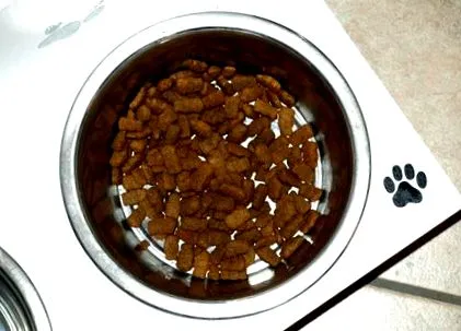 fără