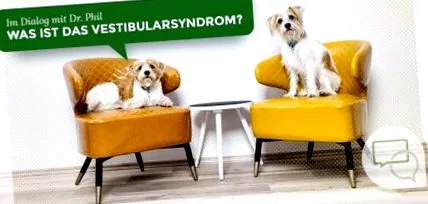 sindromul veterinare