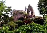 wildbann