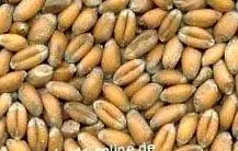 nutriție