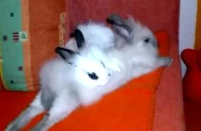 заедно
