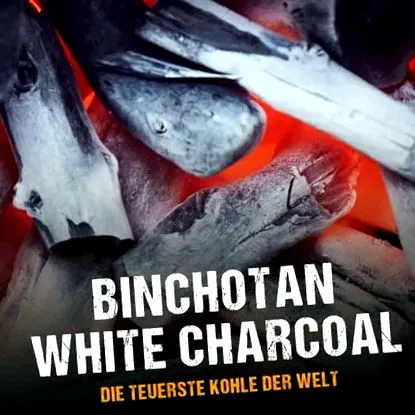 világ binchotan