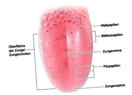 működik