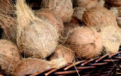 dietă