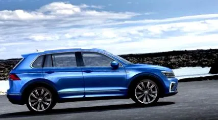 gata tiguan