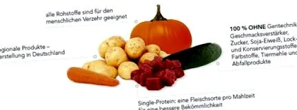 egészséges