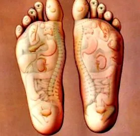 arhiva