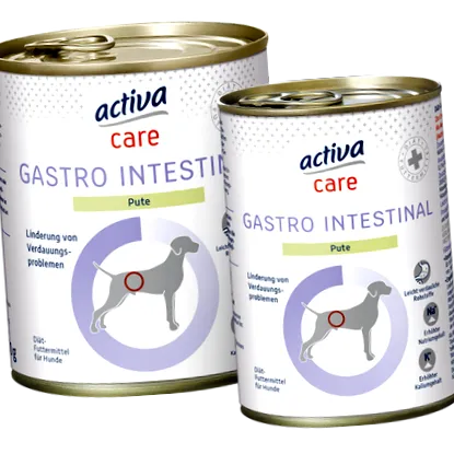 intestinal