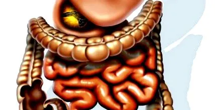 aplicarea
