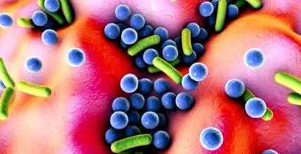 antibiotice