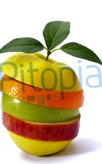 pitopia