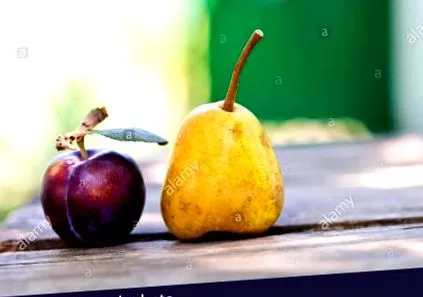albastru