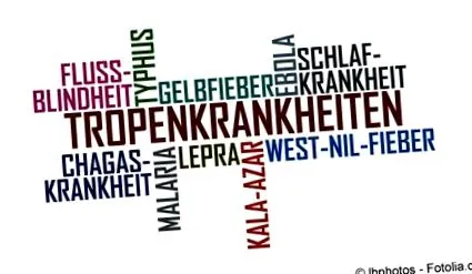 egészségem