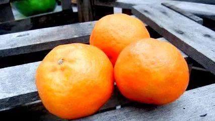 мандарини