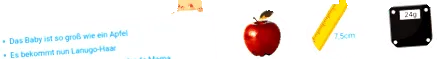 terhességi
