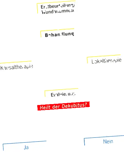 típusainak