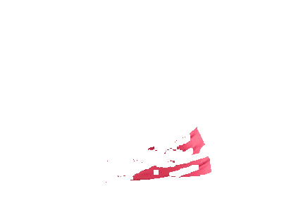 darmflora