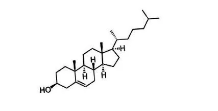 plusz