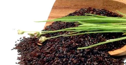 psyllium vastagbél