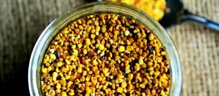 chia